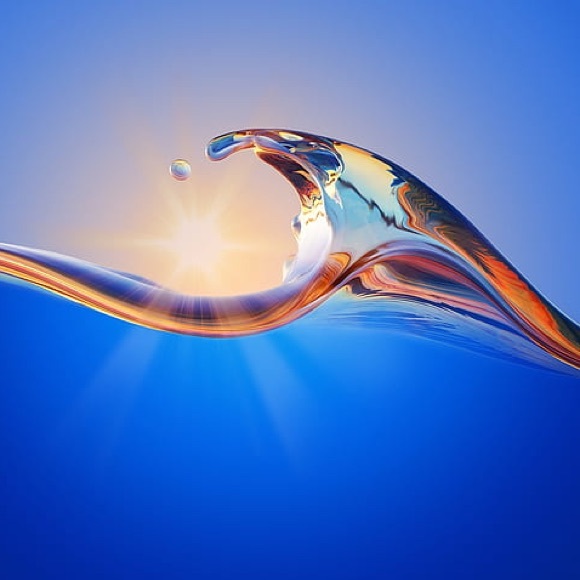 Meet your Posher, Flutter - Picture 3 of 4